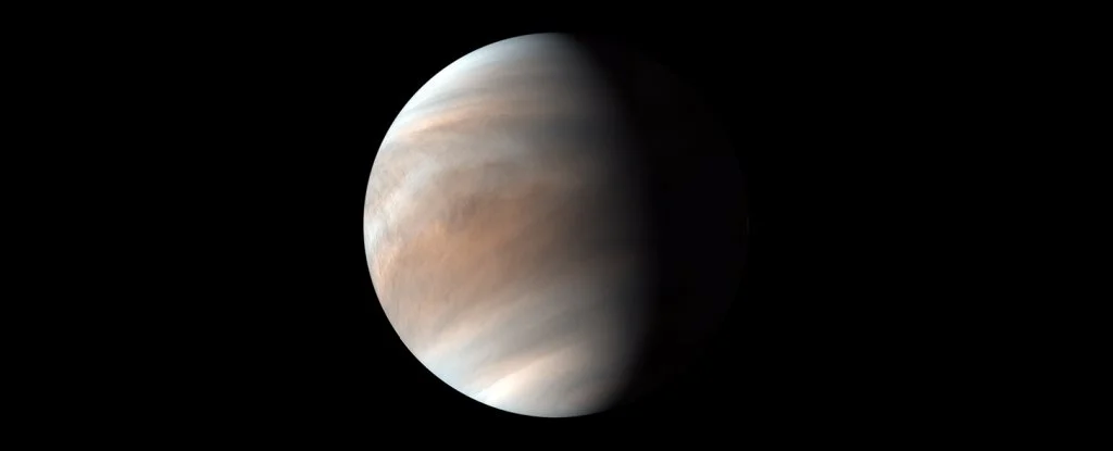 You are currently viewing Новое исследование предполагает, что в облаках Венеры возможен фотосинтез